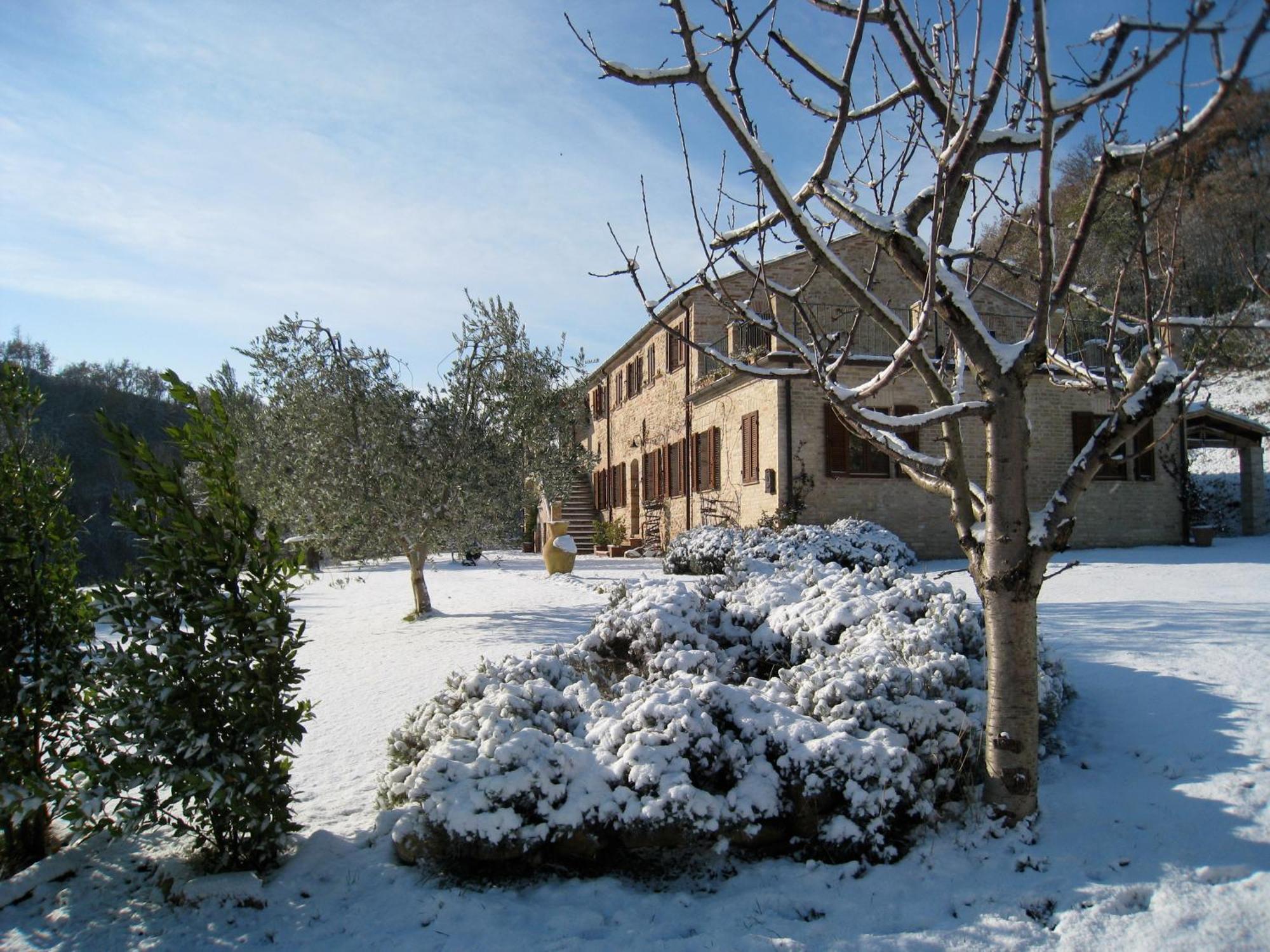 Casa Delle Sorgenti Apartman Montefiore dellʼAso Kültér fotó